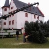 Neujahrsbegrüßung 2013_22