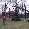 Neujahrsbegrüßung 2013_26