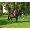 Ostereiersuche 2011_37