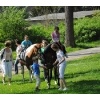 Ostereiersuche 2011_39