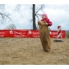 Ostereiersuche 2012_40