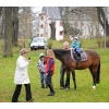 Ostereiersuche 2012_47