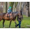 Ostereiersuche 2015_131