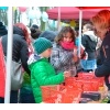 Ostereiersuche 2016_95