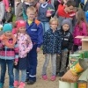 Ostereiersuche 2017