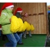 Schlossweihnacht 2007_23