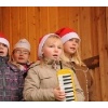 Schlossweihnacht 2009_24