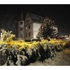 Schlossweihnacht 2010_28