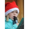 Schlossweihnacht 2010_57