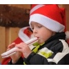 Schlossweihnacht 2010_69