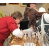 Schlossweihnacht 2011_113
