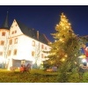 Schlossweihnacht 2011_118
