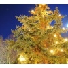 Schlossweihnacht 2011_121