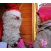 Schlossweihnacht 2011_24